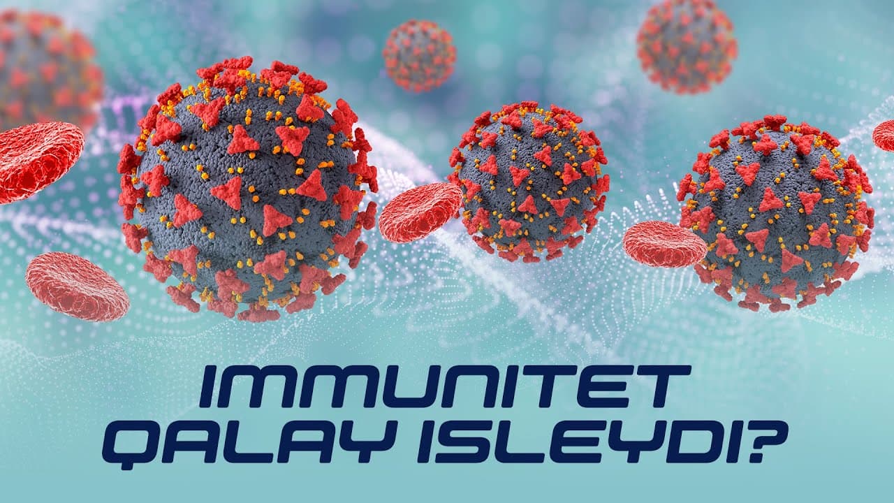 Denemiz ózin qalay qorǵaydı? | Immunitet | Aydın